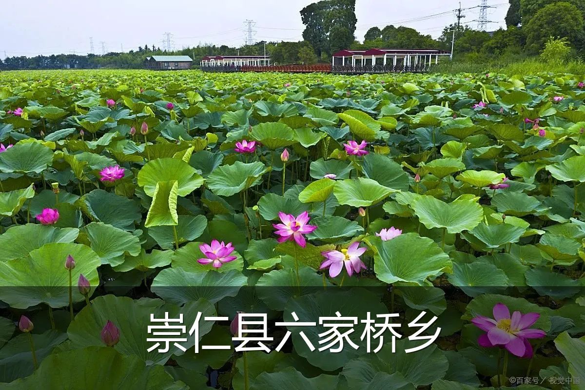 崇仁县六家桥乡