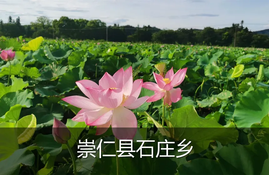 崇仁县石庄乡